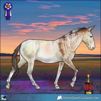 Horse Color:Powder White Bay Dun Brindle