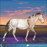Horse Color:Powder White Bay Dun Brindle 