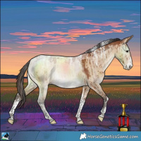 Horse Color:Powder White Bay Dun Brindle 