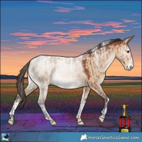 Horse Color:Powder White Bay Dun Brindle 