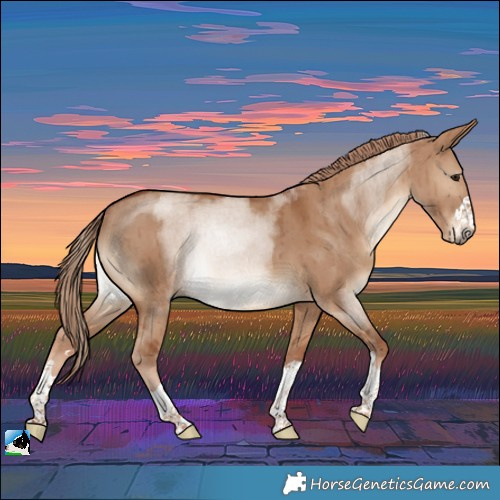 Horse Color:Red Dun Rabicano Brindle 