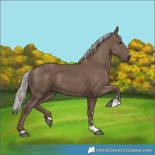 Horse Color:Silver Black 