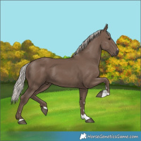 Horse Color:Silver Black 