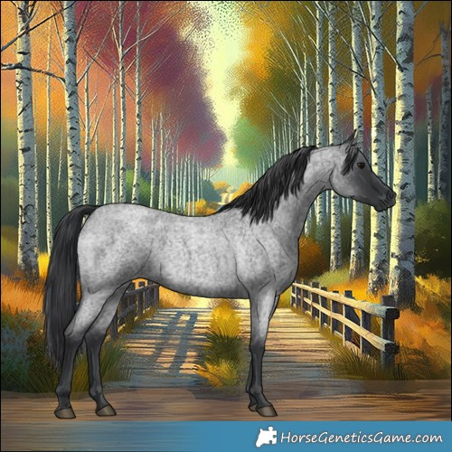 Horse Color:Blue Roan 