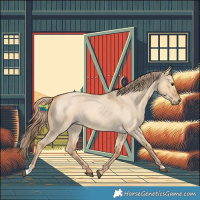 Horse Color:Red Dun Roan 