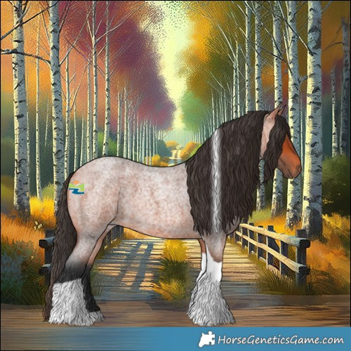 Horse Color:Bay Roan Tobiano 