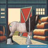Horse Color:Bay Roan Tobiano 