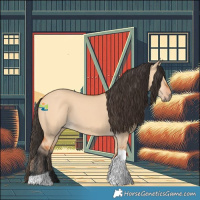 Horse Color:Bay Dun Tobiano 