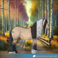 Horse Color:Bay Dun Tobiano 