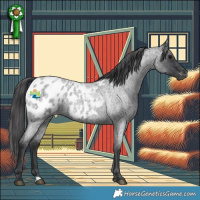 Horse Color:Blue Roan Blanket 