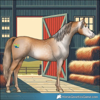 Horse Color:Gray Gold Champagne 