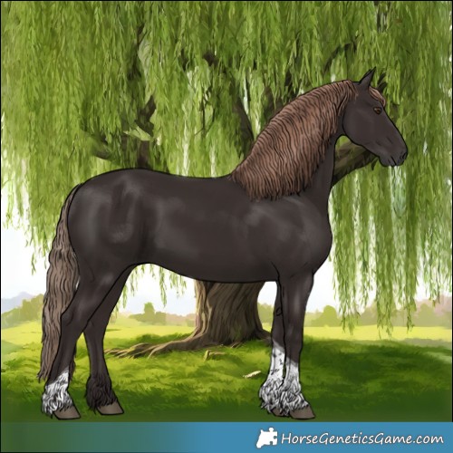 Horse Color:Liver Chestnut Tobiano 