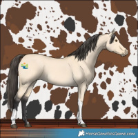 Horse Color:Buckskin Dun Tobiano 