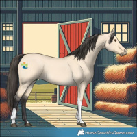 Horse Color:Buckskin Dun Tobiano 