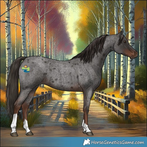Horse Color:Liver Red Roan Tobiano