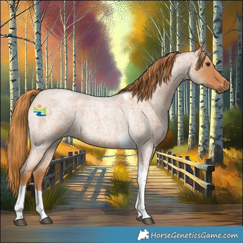 Horse Color:Red Roan Tobiano 