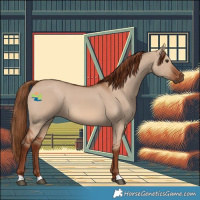 Horse Color:Red Dun 