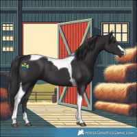Horse Color:Smoky Black Tobiano 