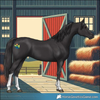 Horse Color:Smoky Black Tobiano 