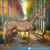 Horse Color:Red Dun 