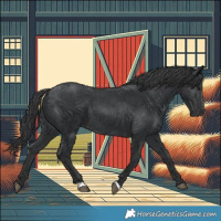 Horse Color:Black 