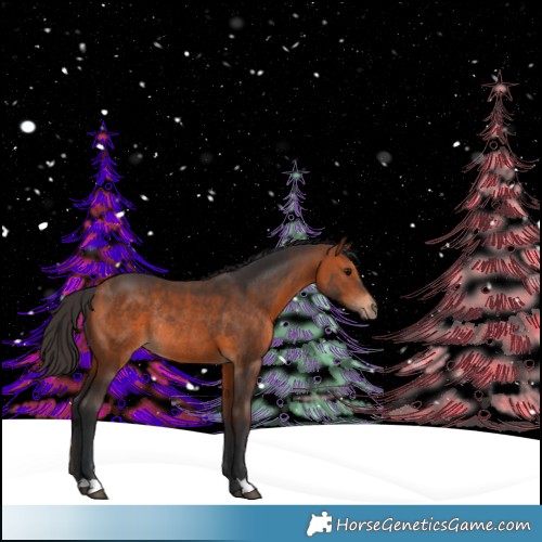 Horse Color:Brown Rabicano 
