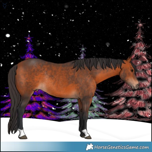 Horse Color:Brown Rabicano 