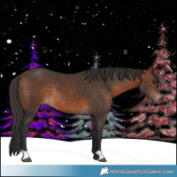 Horse Color:Brown Rabicano 