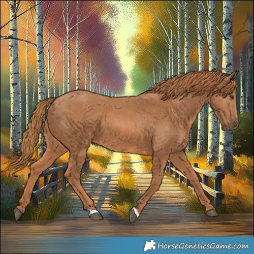 Horse Color:Chestnut 