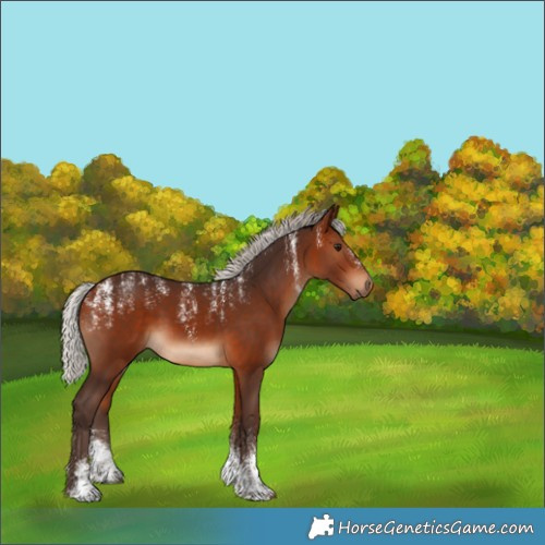 Horse Color:Powder White Silver Bay