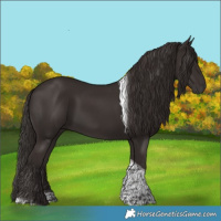 Horse Color:Liver Chestnut Tobiano
