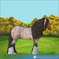 Horse Color:Bay Roan Tobiano
