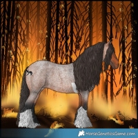 Horse Color:Bay Roan Tobiano