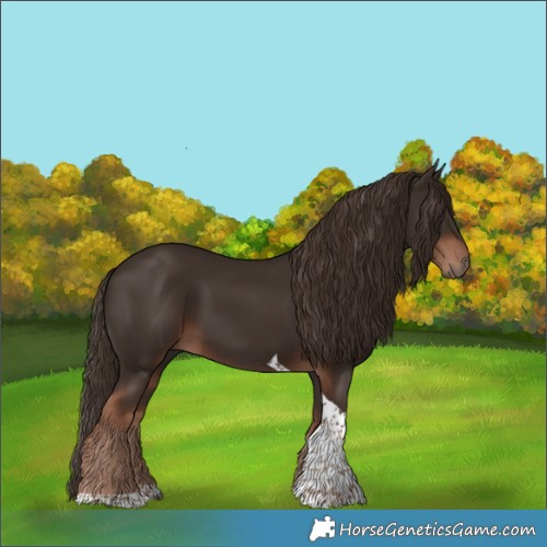 Horse Color:Liver Chestnut Tobiano 