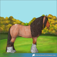 Horse Color:Bay Roan Tobiano