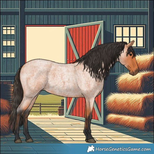 Horse Color:Bay Roan 