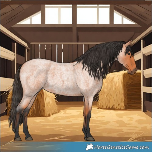 Horse Color:Bay Roan 
