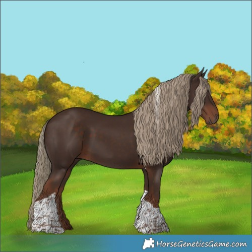 Horse Color:Liver Chestnut Tobiano 