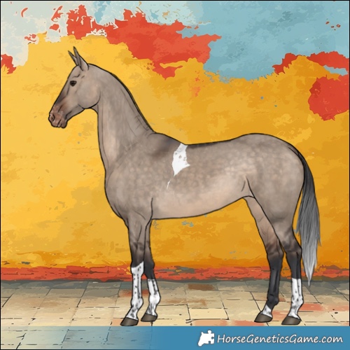 Horse Color:Bay Dun Tobiano Appaloosa Rabicano 