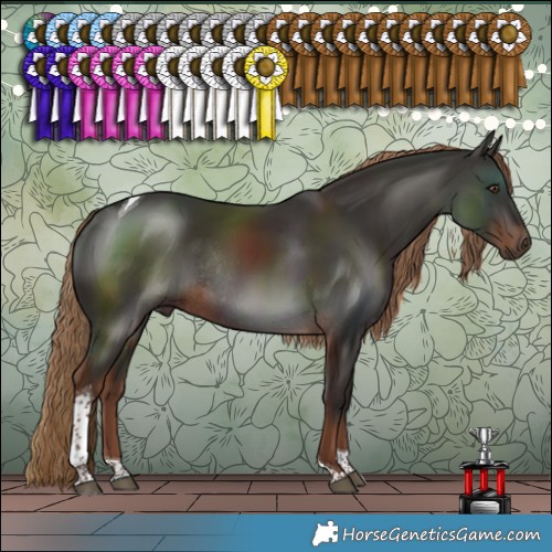 Horse Color:Liver Chestnut Tobiano Rabicano 