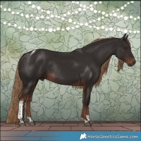 Horse Color:Liver Chestnut Tobiano Rabicano
