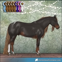 Horse Color:Liver Chestnut Tobiano Rabicano 