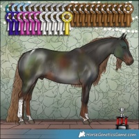 Horse Color:Liver Chestnut Tobiano Rabicano 