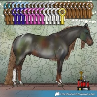 Horse Color:Liver Chestnut Tobiano Rabicano