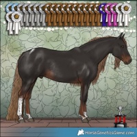 Horse Color:Liver Chestnut Tobiano Rabicano