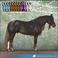 Horse Color:Liver Chestnut Tobiano Rabicano 