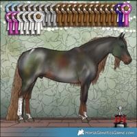 Horse Color:Liver Chestnut Tobiano Rabicano 