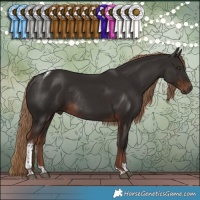 Horse Color:Liver Chestnut Tobiano Rabicano
