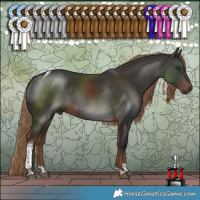 Horse Color:Liver Chestnut Tobiano Rabicano