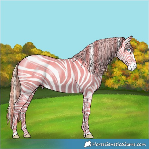 Horse Color:Perlino Dun 
